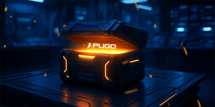 What to Expect When Working With a Graphic Design Studio Like Pugo Banner