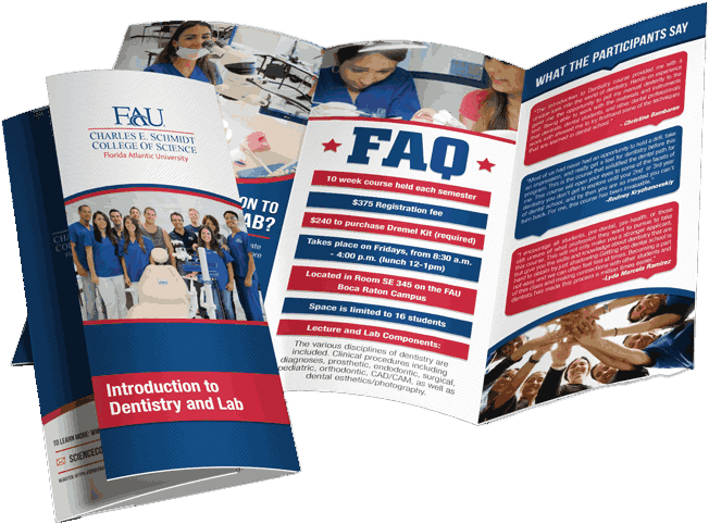 Tri-fold brochure for FAU Charles E. Schmidt College of Science, titled Introduction to Dentistry and Lab, featuring program details, FAQ, fees, schedule, location, student photos, and participant testimonials.